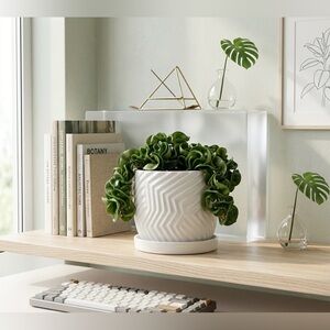 6 Inch White Ceramic Planter with Saucer, Modern Chevron Barrel Plant Pot